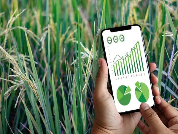 Impacto de la inteligencia artificial en la agricultura: desafíos y oportunidades