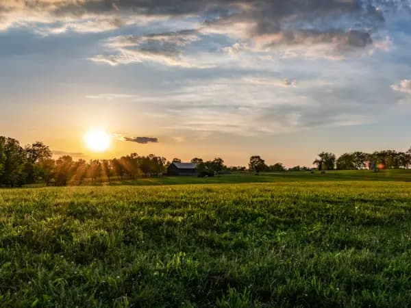 Os diferentes tipos de contratos de arrendamento rural 