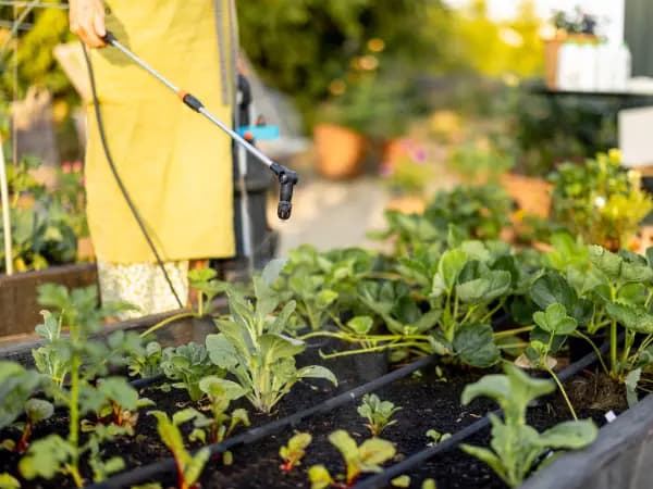 Como os hormônios agrícolas podem impulsionar o crescimento das suas culturas