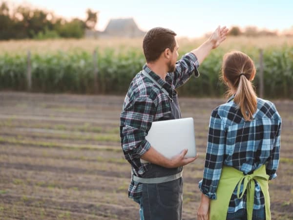 Cibersegurança na agricultura: como proteger os dados e a infraestrutura digital