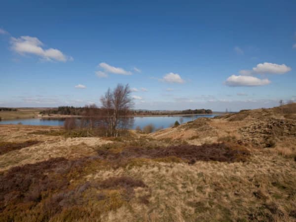 Qual o impacto das mudanças climáticas na agricultura e na produção de alimentos?