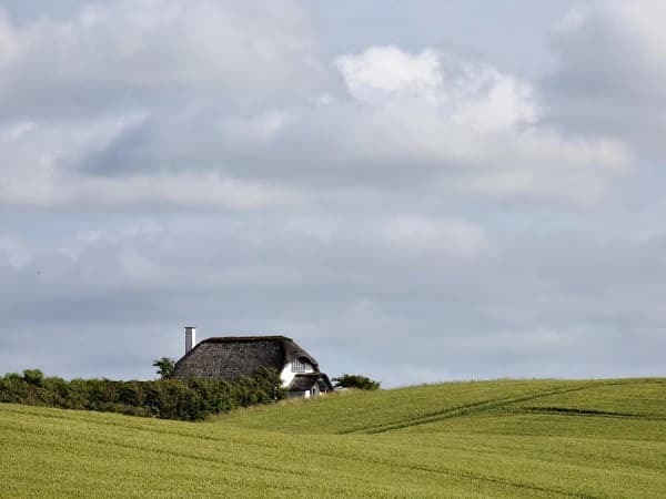 Viver no campo: estes são os benefícios