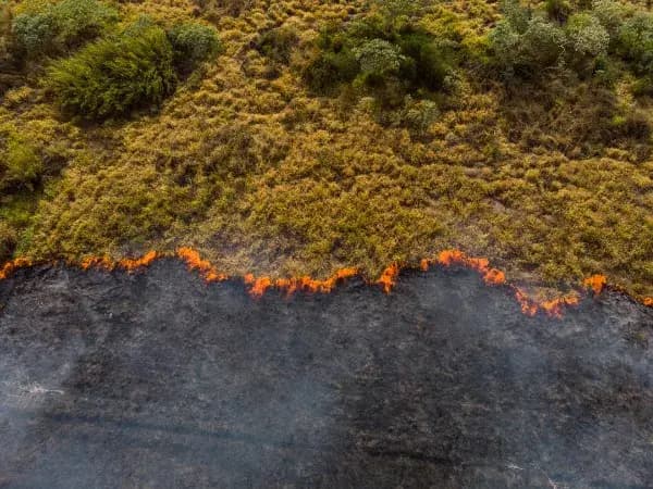 5 incendios forestales más grandes de España en 2023