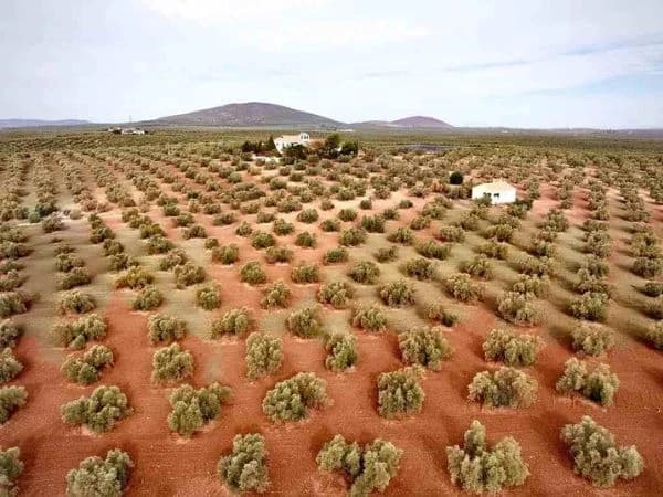 Firma de hipotecas sobre fincas rústicas: caída del 26,7% en agosto