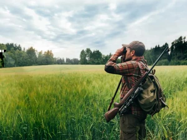 Temporada de caza 2023/2024: todo lo que debes saber de los períodos cinegéticos