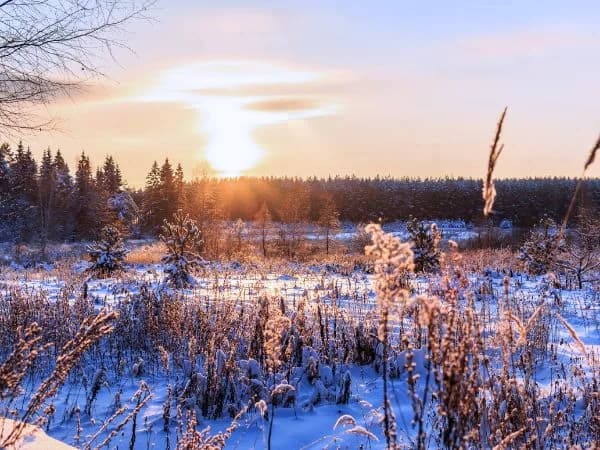 ¿Cómo será el invierno 2023 2024 en España?