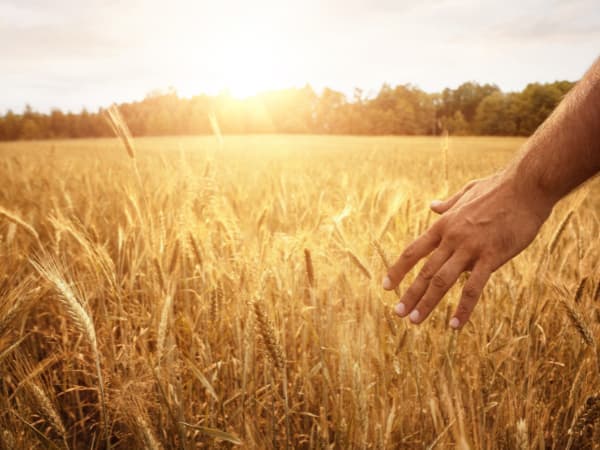 Propuestas agrarias elecciones europeas 2024: ¿Qué proponen los partidos políticos españoles?