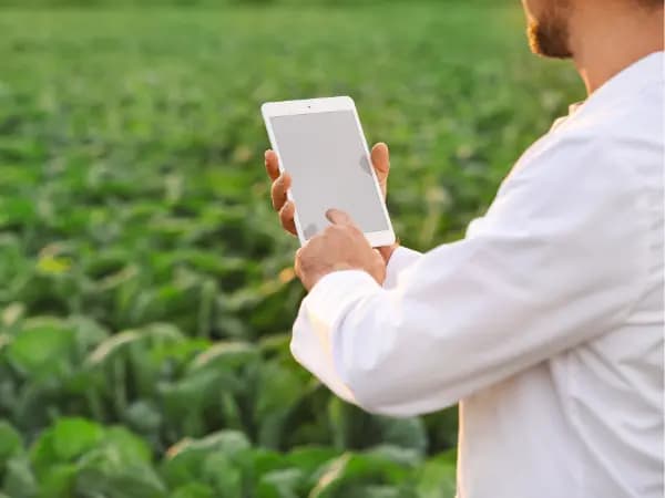 ¿Qué es un informe de tasación y cuáles son los elementos que incluye?