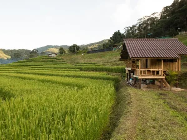 ¿Cuál es el precio de una tasación de fincas rústicas?
