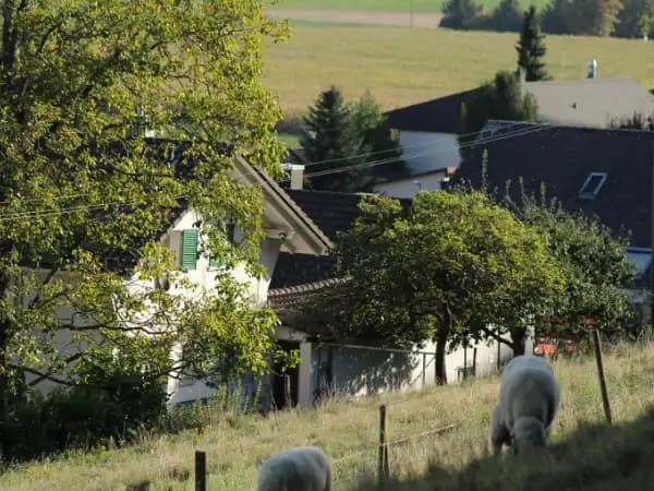 Precio de terreno rústico en País Vasco