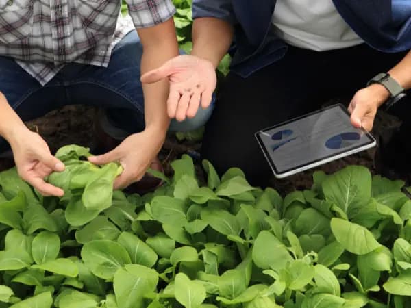 ¿Cuáles son los tipos de tasaciones existentes según su función?