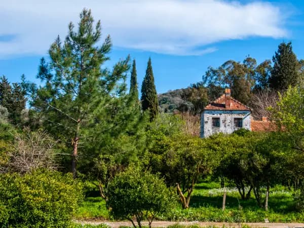 Cómo inmatricular una finca heredada