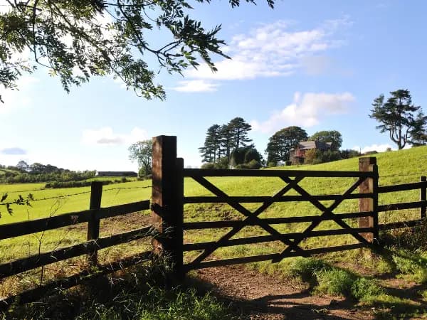 Conozca todo lo necesario sobre la Ley de Expropiación Forzosa