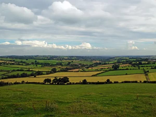 ¿Se puede hipotecar un terreno?