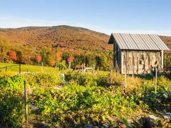 ¿Se puede vivir en una casa de aperos?