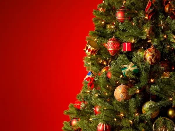 Origen del árbol de Navidad: ¿Cómo empezó esta tradición en España?