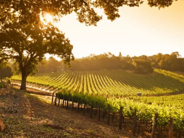 ¿Cuál es la previsión del tiempo para la primavera 2025 de la AEMET?