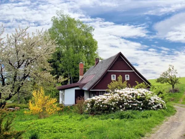 El 2024 cierra con 155.876 compraventas de fincas rústicas, un incremento del 4,3%
