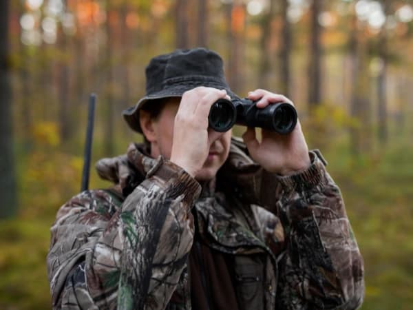 Cómo sacar la licencia de caza en España: requisitos y guía por CC. AA.