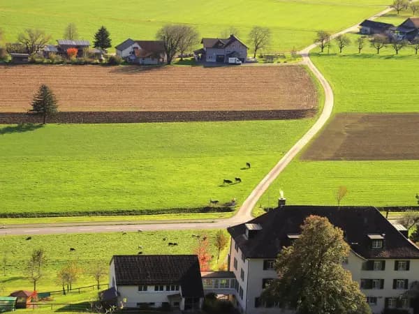 IBI en fincas rústicas: guía completa para propietarios