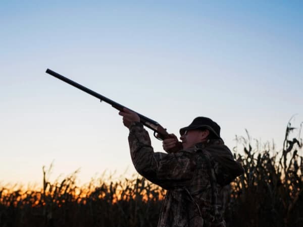 Guía completa: cómo sacarse la licencia de armas en España