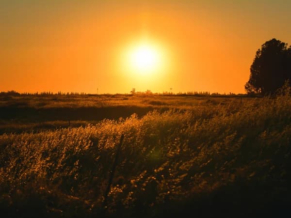 Previsión del tiempo para el otoño 2025: ¿qué esperar este año según los expertos?