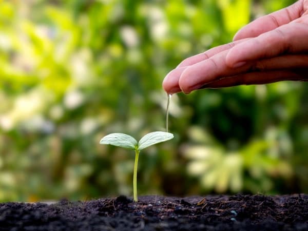 ¿Qué es la agricultura sostenible y por qué es clave para nuestro futuro?