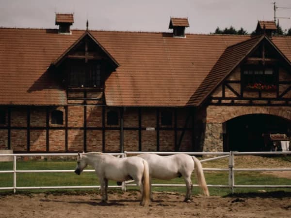 Guía para comprender el valor de un terreno rústico