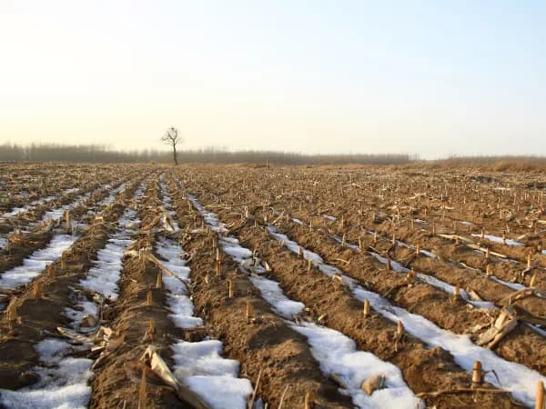 Previsión para el invierno 2025-2026: lo que dice la AEMET y los expertos