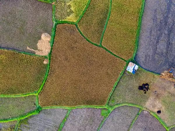 ¿Qué significa segregar un terreno?