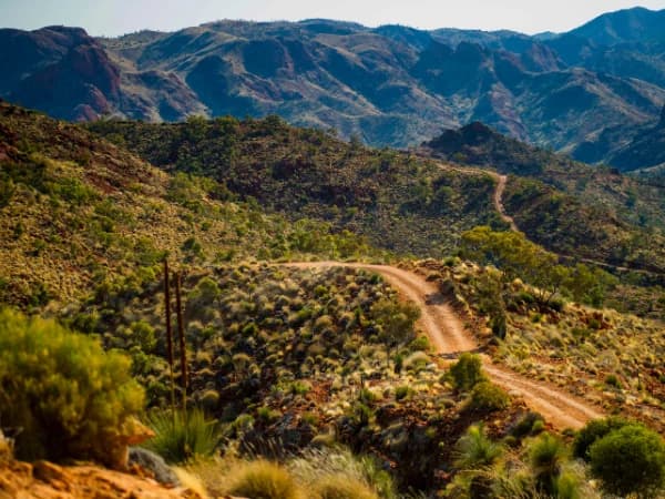 Comparativa 2026 de coches todoterreno 4X4 para el campo: cuál elegir según su tipo de finca