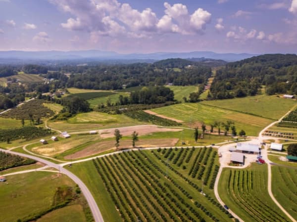 ¿Qué es el suelo terciario y qué se puede construir en él? 