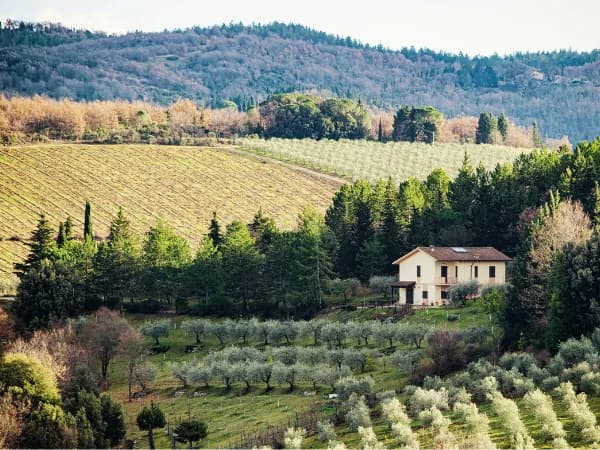 Proindiviso: qué es, cómo funciona, derechos de copropietarios y cómo disolverlo en España a fecha de 2026