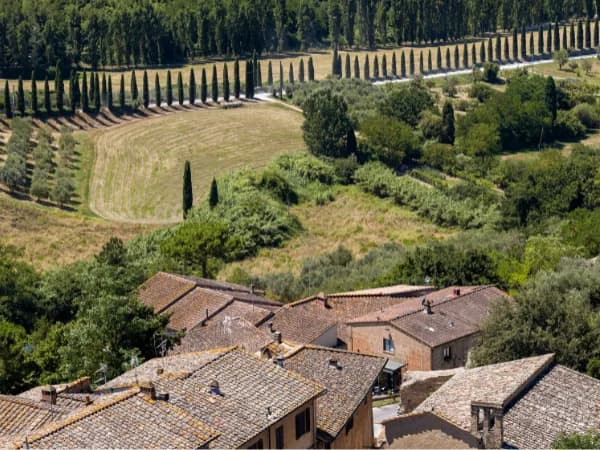Agroseguro 2026: Cómo funciona y qué papel tiene en el seguro agrario 