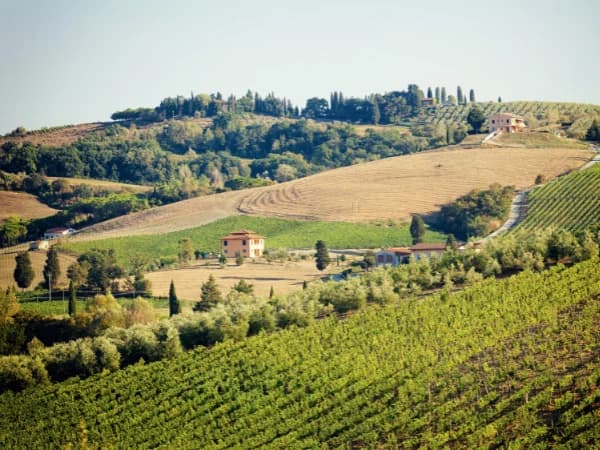 Ventajas de vivir en el campo en España: beneficios para una vida más sana y sostenible en 2026 