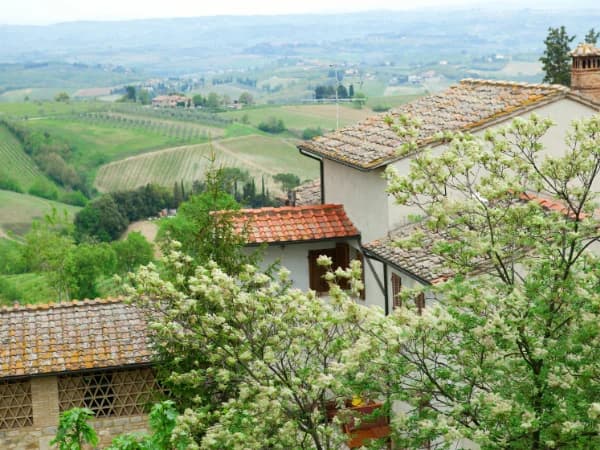 Sistema de seguros agrarios en España 2026: ENESA, Agroseguro y su papel clave