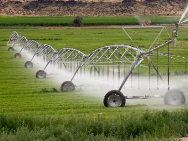 Seguro para fincas de regadío: riesgos específicos y coberturas