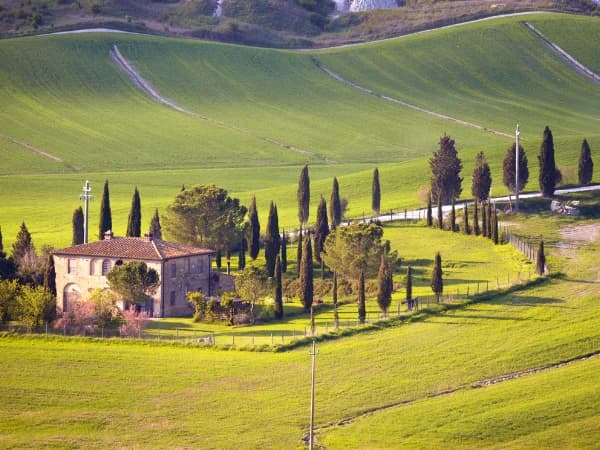 Arrendamiento rústico sin contrato: riesgos, derechos y cómo regularizarlo en fincas rurales de España 2026