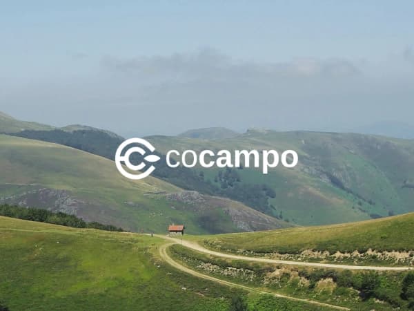 Cómo Funciona Cocampo en 2026: Funcionalidades, Servicios y Soluciones para Propietarios e Inversores