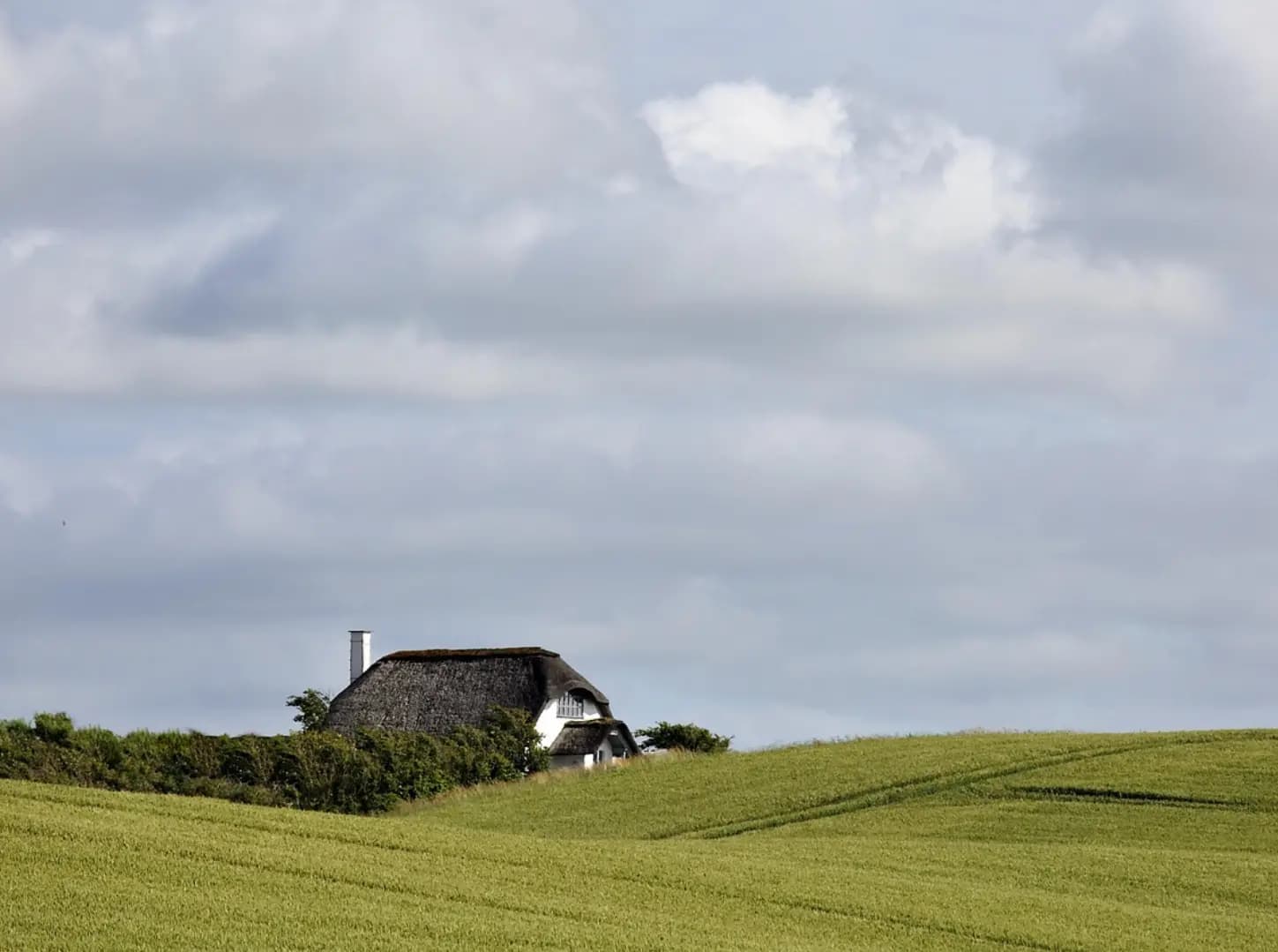 La firma de hipotecas sobre fincas rústicas crece un 10,7% en 2025 y alcanza las 10.366 operaciones en España