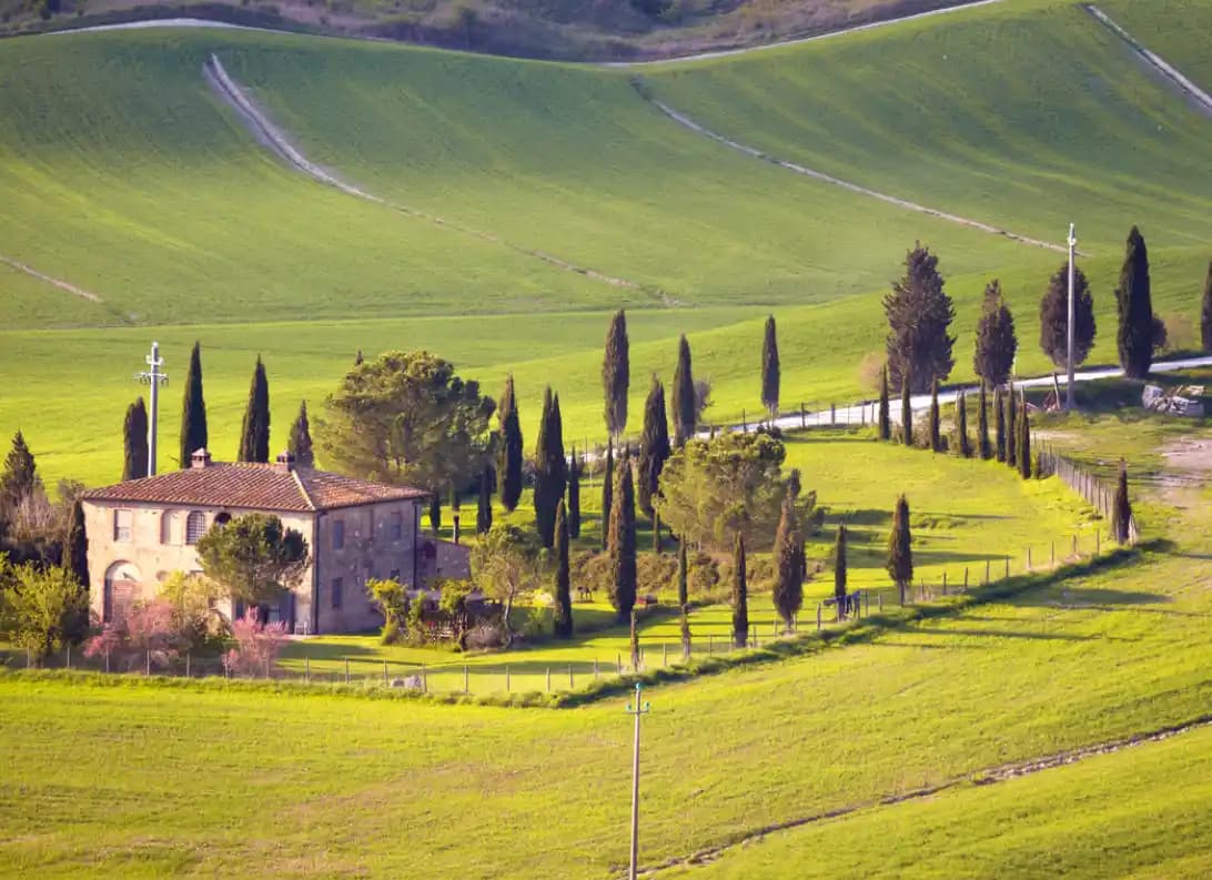 En 2025, las ejecuciones hipotecarias sobre fincas rústicas descienden al 5,7% del total 