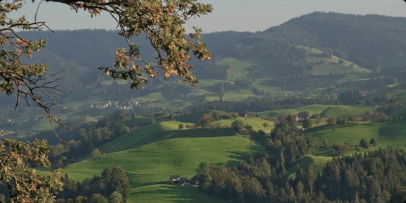 Guía legal esencial para propietarios en el mundo rural