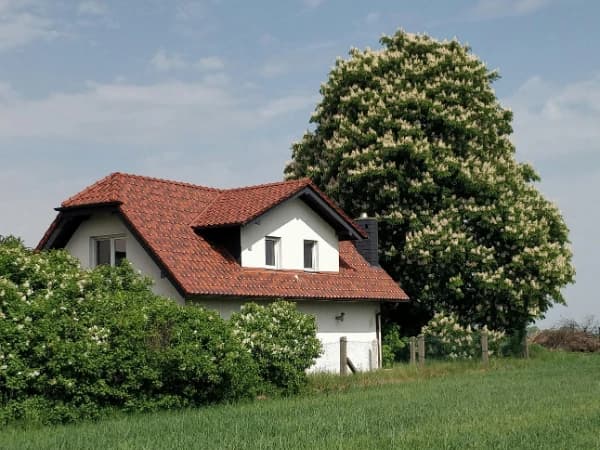 La firma de hipotecas sobre fincas rústicas creció un 4,2% en enero