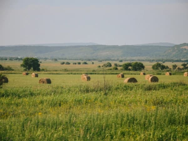Terreno para casas prefabricadas: Todo lo que debe saber antes de comprar 