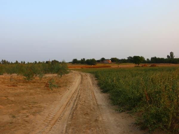 El suelo rústico supera a la vivienda: crece un 5,8% en febrero y se consolida como valor refugio 