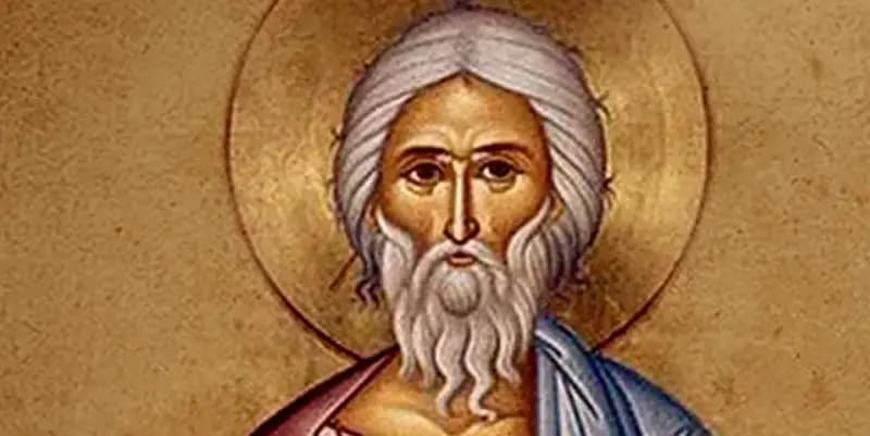 ¿Qué santo se celebra hoy 8 de abril de 2026 y qué dice la memoria del campo?