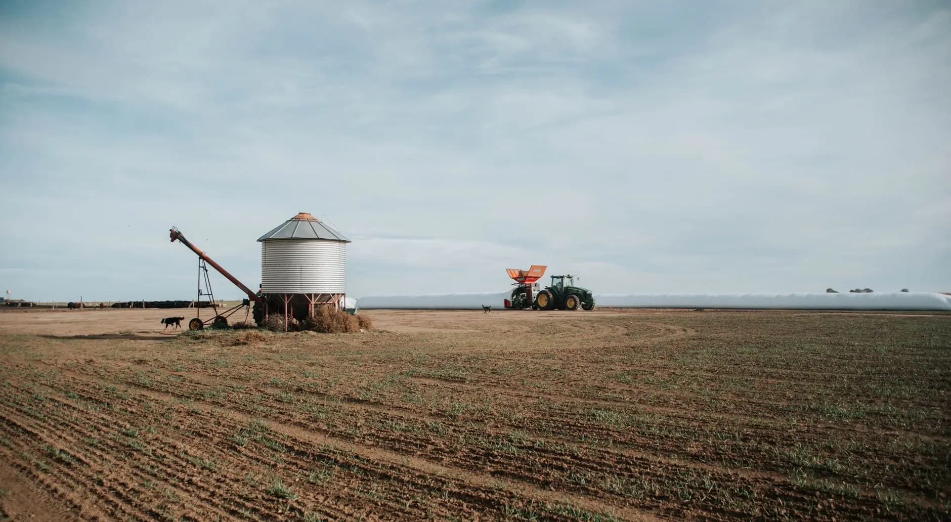 terreno rústico cubierto por seguros agrarios