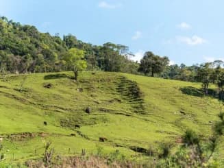 Ladera dentro de un terreno que recibió una tasación de fincas gratis