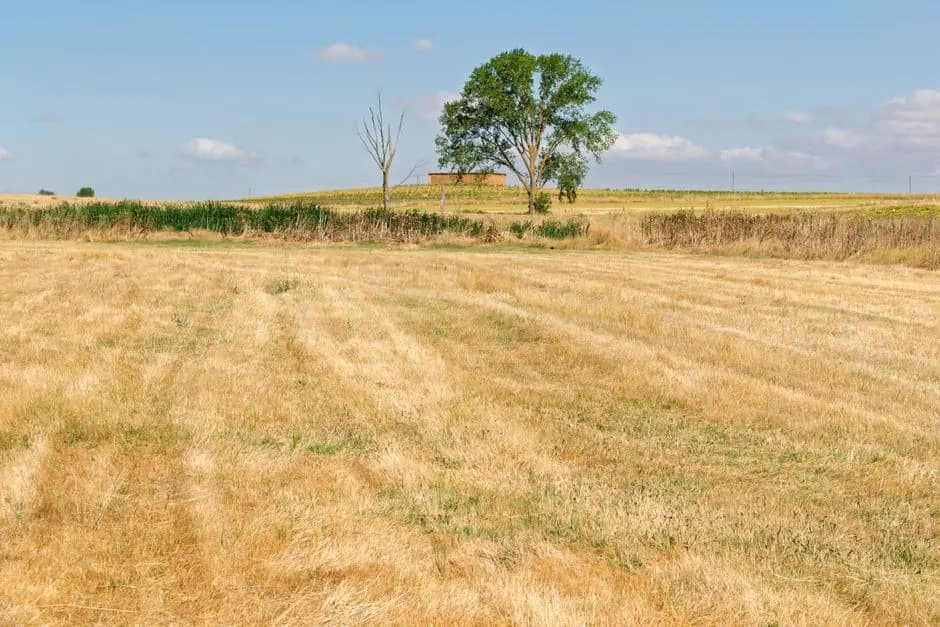 finca lista para realizar el desbroce de parcelas