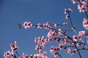 BriznaConstrucción BriznaConstruccion